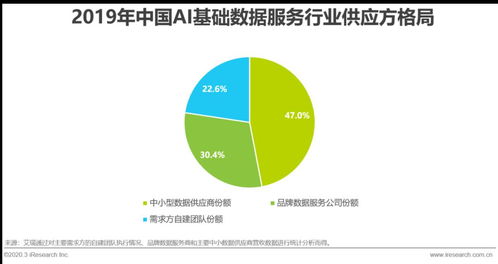 2020年中國AI基礎(chǔ)數(shù)據(jù)服務(wù)行業(yè)發(fā)展報告 軟件開發(fā)的賦能與革新